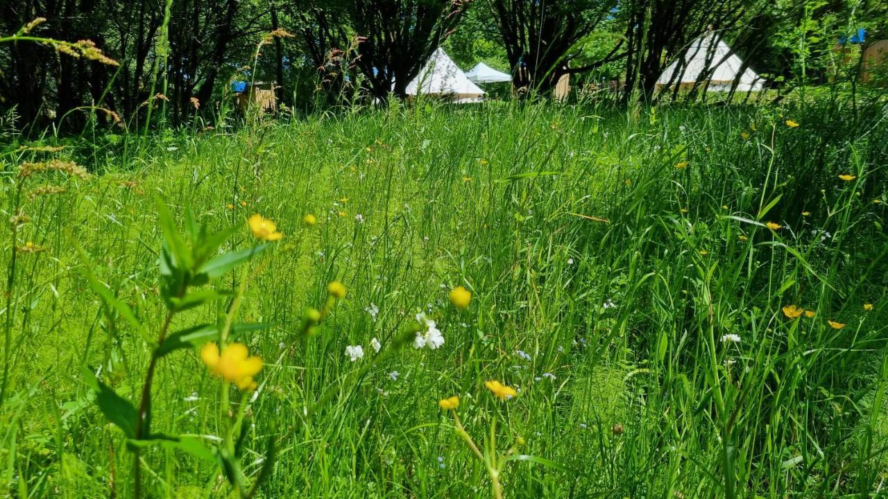 Route 47 Glamping Bell Tents Cross Hands Buitenkant foto